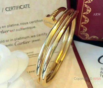 AAA Quality Cartier Juste Un Clou Nail Bracelet / Gold Double Tour Bracelet